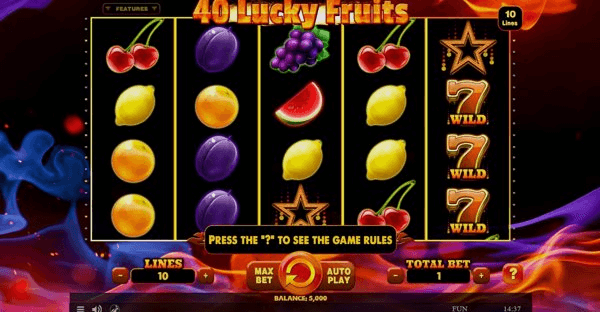 Play 40 Lucky Fruits online